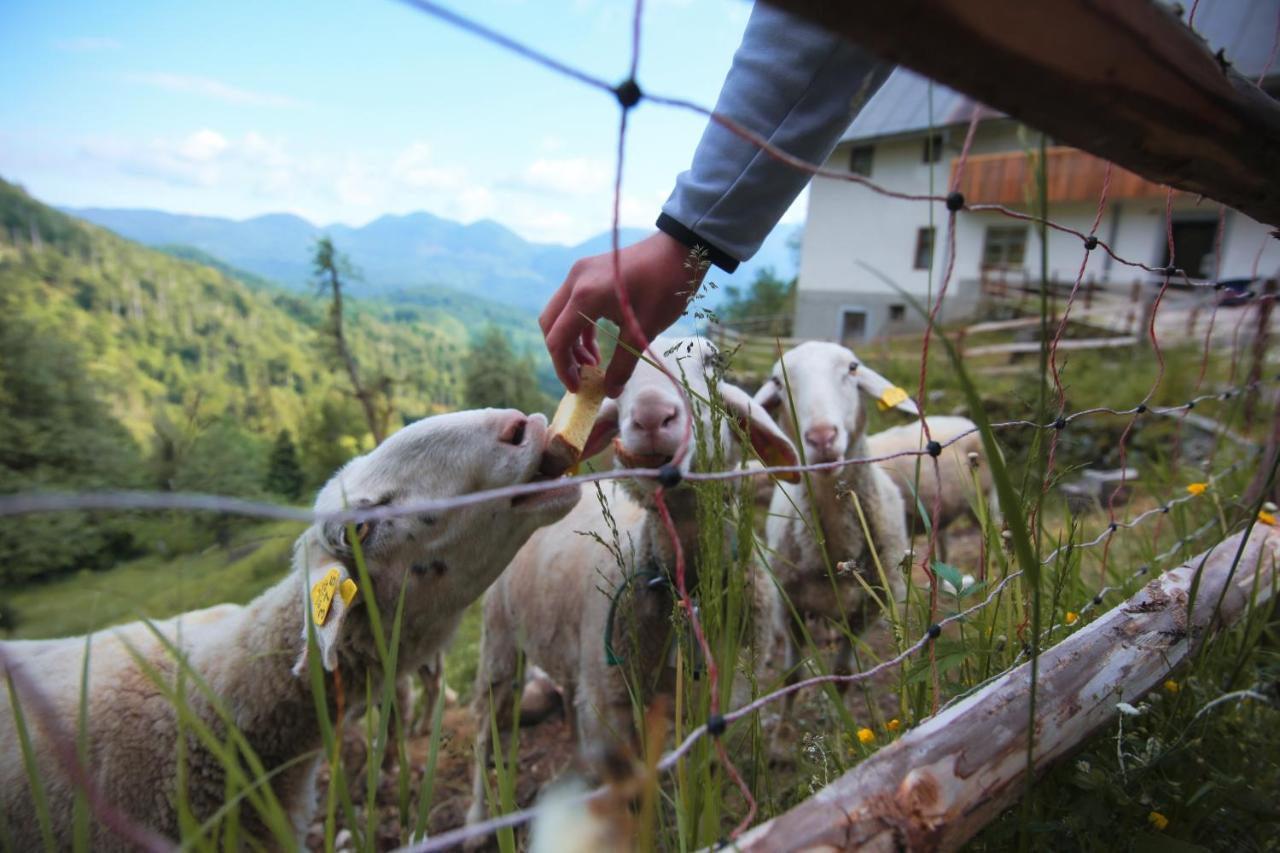 Apartma Gorski Razgled Srednja Vas v Bohinju Exterior foto