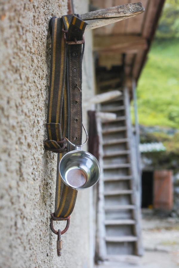 Apartma Gorski Razgled Srednja Vas v Bohinju Exterior foto