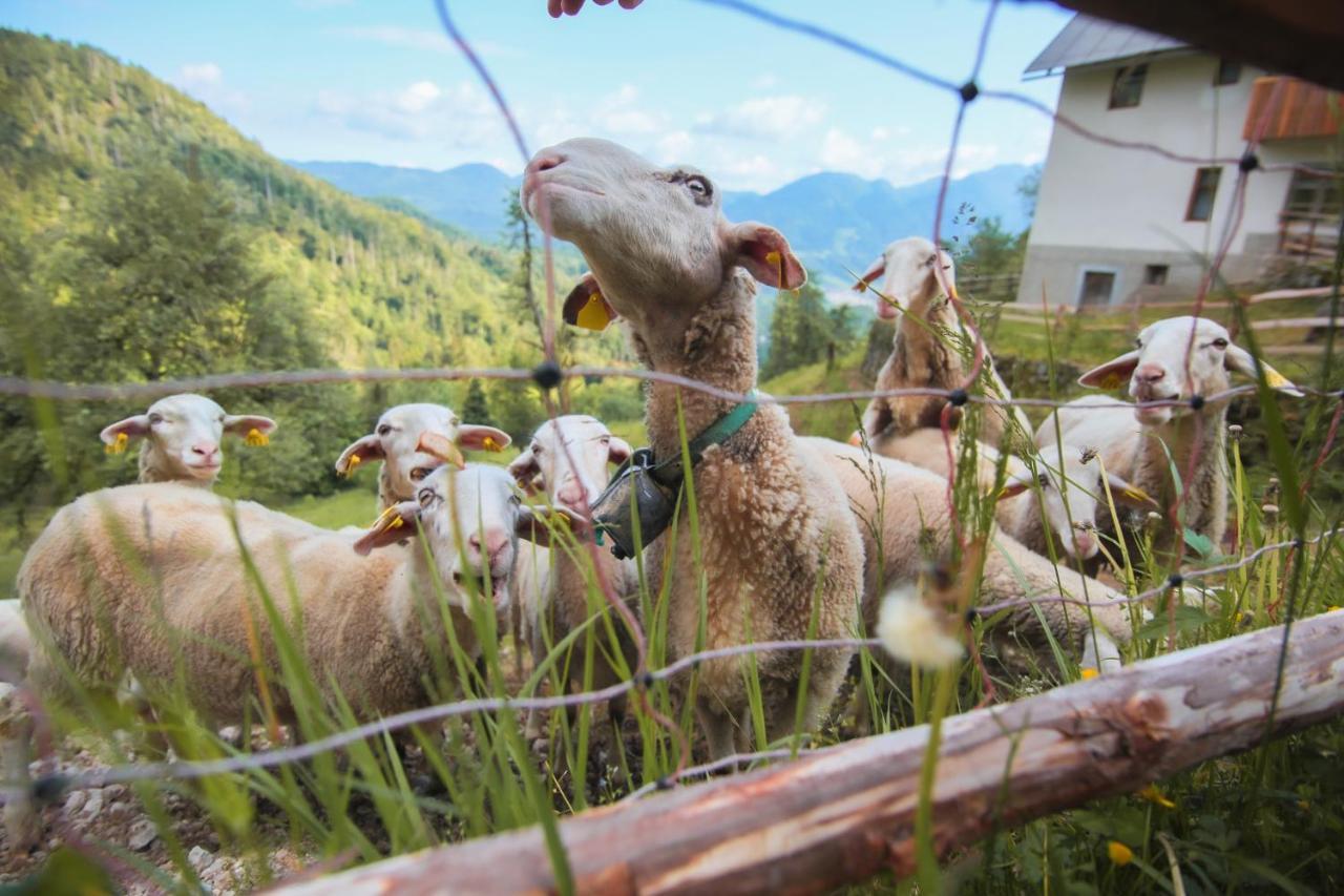 Apartma Gorski Razgled Srednja Vas v Bohinju Exterior foto