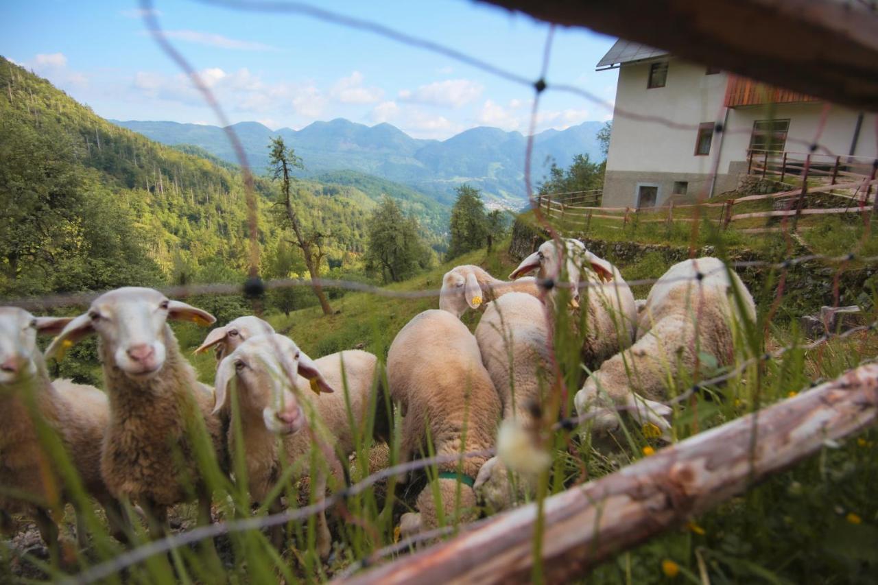 Apartma Gorski Razgled Srednja Vas v Bohinju Exterior foto