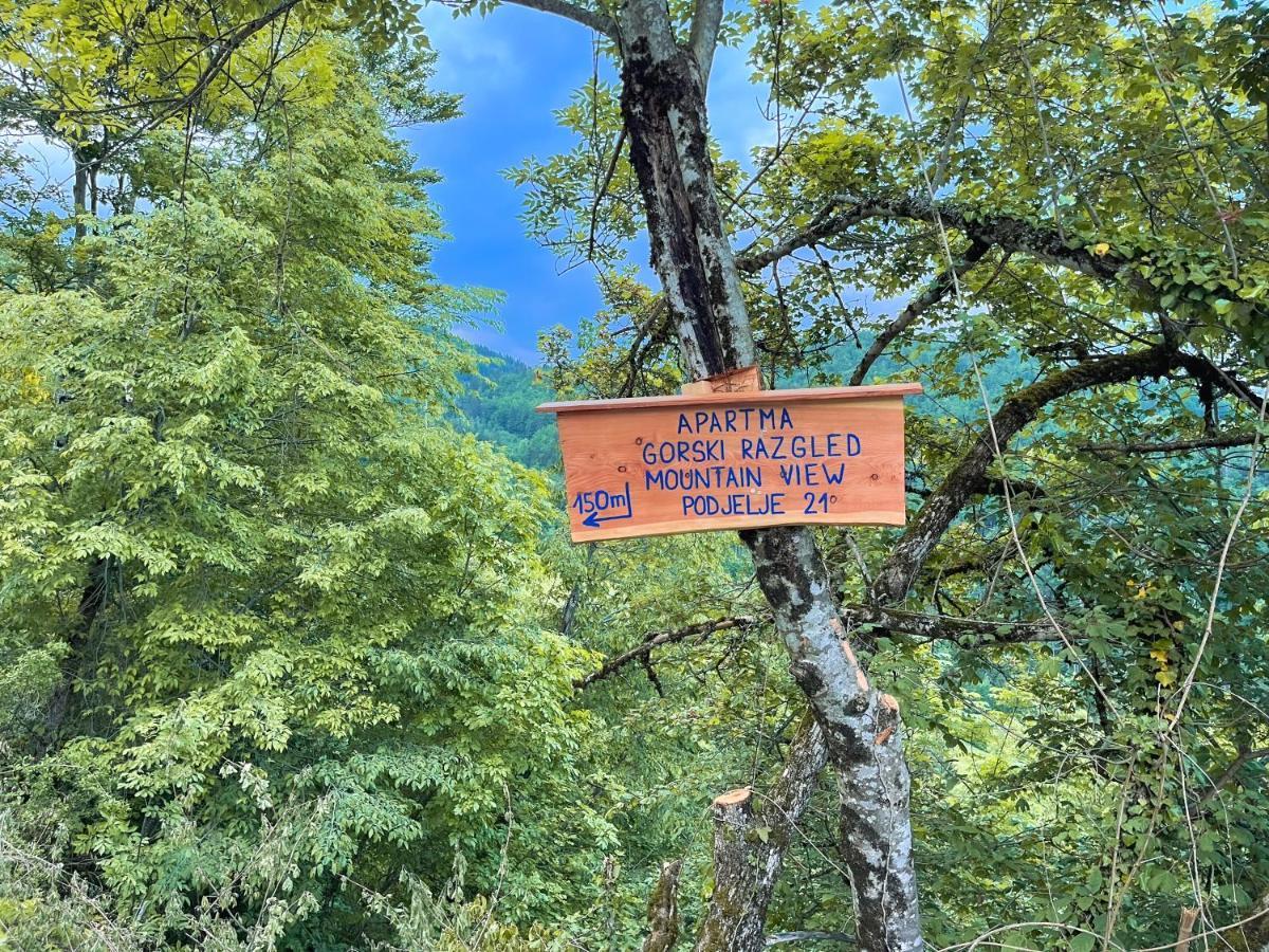 Apartma Gorski Razgled Srednja Vas v Bohinju Exterior foto
