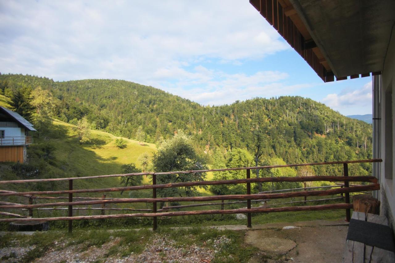 Apartma Gorski Razgled Srednja Vas v Bohinju Exterior foto